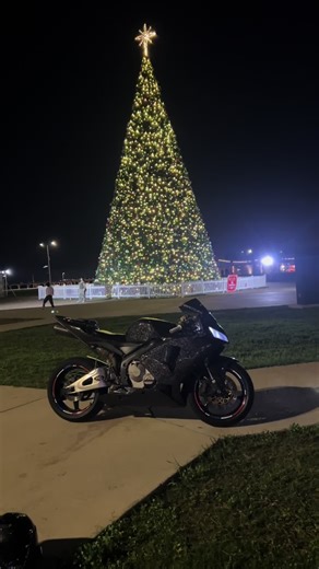 Capturing Stunning Christmas Tree Photos