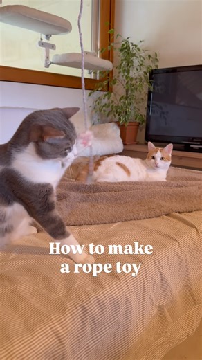 18K views · 10 comments | ✨ DIY Cat Rope Toy ✨ Here’s a super easy...