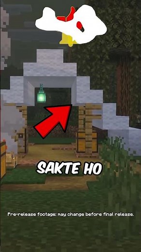 New biome and structure in Minecraft
