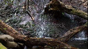 Beautiful scenery of small waterfalls in the forest and in nature.