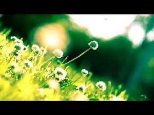 【作業用ＢＧＭ】ZARD (ザード) 癒しオルゴール 名曲メドレー 作業+勉強+睡眠 Healing music box TV