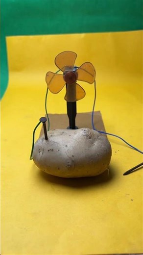 Free Energy Potato Fan 😱 | Battery Ke Bina Chale Mini Fan | Amazing Science Experiment#shortsfeed