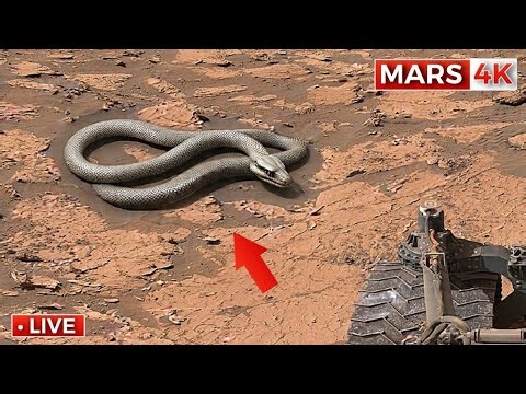 NASA Mars Rover Captures Incredible 360° Footage of Mars In 4K | Perseverance Rover SOL 1525