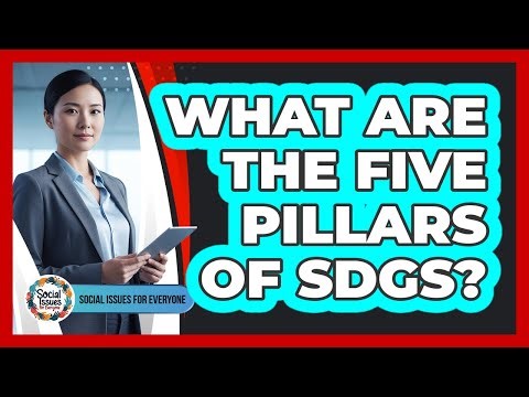 What Are The Five Pillars Of SDGs?