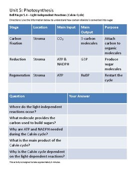 Biology Bell Ringer 5.4 – Light-Independent Reactions (Calvin Cycle) | Low-Prep
