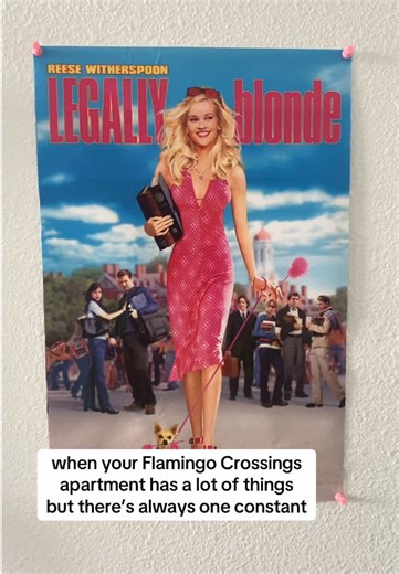 Disney College Program Insights at Flamingo Crossings