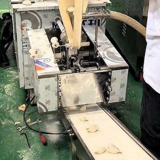 Automatic Dumpling Production Line | Fast & Smart Dumpling Making Machine