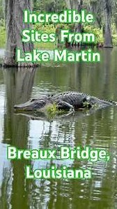 The Most Amazing Swamp! #lakemartin #kayakfishing