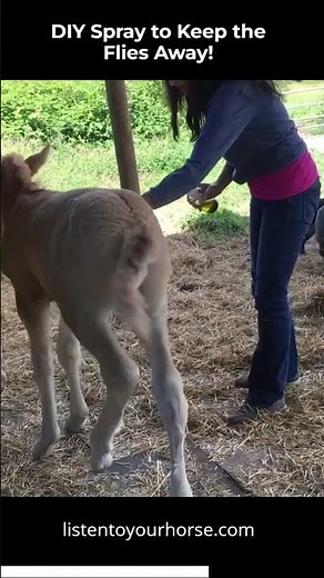 DIY Spray to Keep the Flies Away from Horse
