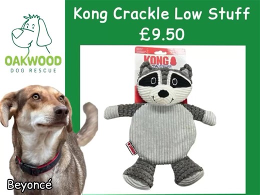 Oakwood Dog Rescue Online Shop Have you seen all of the toys we have available? Lots more to choose from right here: https://www.oakwooddogrescue.co.uk/ourshop/cat_1836789-Toys.html #oakwooddogrescue #onlineshop #rescuedogs | Oakwood Dog Rescue