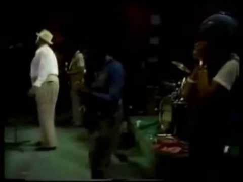 Willie Dixon Blues Band (Sugar Blue Harmonica ) - Wang Dang Doodle & I Got My Mojo Working (Live)