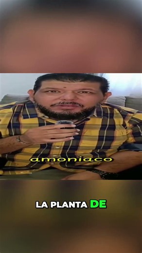 Proman GPO: Ecocide in Sinaloa due to Ammonia Plant