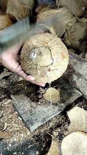 remove coconut from the shell