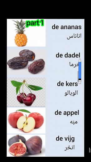 #nederlandspashto #dutchrlandspashto #Nede #nederland #Pashto #nederlandsleren #dutch | Nederlandstopashto