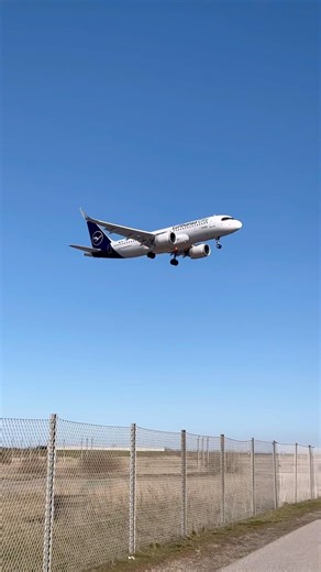 Lufthansa City A320neo landing in CPH #shorts #airplane #aviation #denmark #lufthansa #plane
