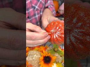 Cozy Fall DIYs to Make Your Home Autumn-Ready 🍂