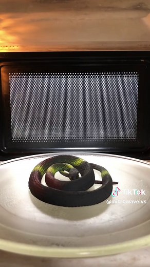 Microwave Experiment with a Toy Snake