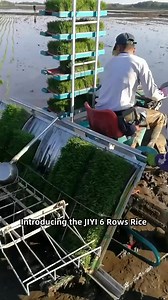 6-Row Paddy Rice Transplanter Seeder Machine Used with IOT Motor Engine Gearbox & Bearing for Home Farm Retail Use