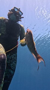 The Expert Underwater Spearfishing Girl! #fishing #spearfishing | Ryan Myers