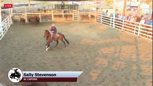 𝗪𝗮𝗿𝘄𝗶𝗰𝗸 𝗚𝗼𝗹𝗱 𝗖𝘂𝗽 𝗖𝗮𝗺𝗽𝗱𝗿𝗮𝗳𝘁 𝗥𝗱𝟭 "Woohoo I got a score in the Cup 🎉🎉" This is what the Warwick Gold Cup is all about. Sally Stevenson is so excited to have ridden an 87.5 with AL CAPONE, and rightfully so. There was a last minute change of jockey and Sally rode with a badly injured finger. None of that matters now! Congratulations Sally hope it's enough to get through to the next round. Video thanks to #warwickshowandrodeo & #bigscreensaustralia | Select Sires