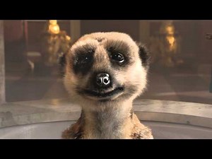 "Bubbly Bath" commercial for comparethemeerkat.com.au by Aleksandr Orlov. Official Australias.