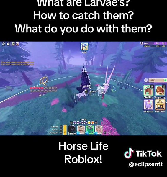 People seem really confused on what are Larvaes and what to do with them, so here is a clip from my recent YT video explaining #roblox #fyp #foryou #foryoupage #gaming #robloxfyp #sonarstudio #robloxgames #horselife #horses #horsegame #horse #creaturesofsonaria
