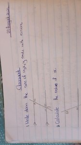 Write down the size of angles x, y, and z with reasons.Calcul... | Filo