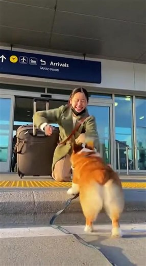 Time moved on, but the bond never did 🐾❤️ #DogAndHuman #ReunionMoment #LongTimeApart #UnconditionalLove #PureEmotion #EmotionalReels #FacebookReels #ViralReels | Paws A Reunion