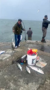 3.4M views · 12K reactions | Full-blown blitz #Big #bass& #Bluefish...