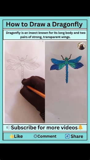 Let's Draw a Dragonfly with me|Realistic drawing step by step#drawing #butterflywings #phoenixbird