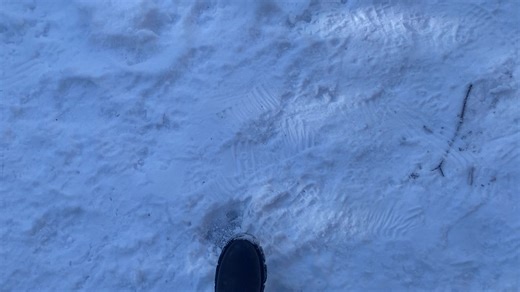 Discover Austria's Cultural Heritage and Beauty