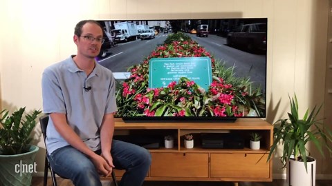 LG OLED CX TV review: The picture against which all other TVs are measured
