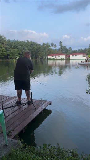 Twilight action from the Arapaima Swim But this is no #arapaima as Doy nearly got his ear bitten off Always handle these small feisty alligator gars with care #predatorfish #alligatorgar #thailandfishing | TopCats Fishing Resort