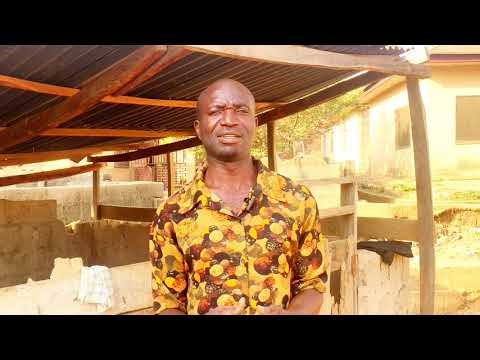 You can become a millionaire through piggry