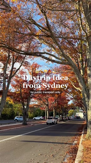 one of the best and easiest daytrip or roadtrip idea from Sydney. so pretty, especially in autumn 🍁🍂 perfect itinerary for long weekend. Bowral, NSW 2hours drive from sydney, with the prettiest restaurants, pastries and cafes. what’s in the video: Harry’s on Green Lane, Gumnut Patisserie, The Press Shop. #nswroadtrip #daytripideas #sydneyroadtrip #sydneydaytrip #bowral