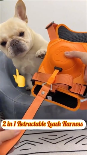 2-in-1 Retractable Leash Harness for dog lovers