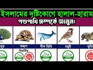 Halal and Haram Animal Meat in Islam | Halal vs Haram Food Explained | Islamic Knowledge