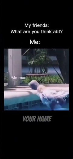 Floatation Device #birds￼