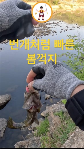 #꺽지낚시 #꺽지오빠 #꺽지포인트 #봄꺽지 #번개꺽지 #충남꺽지