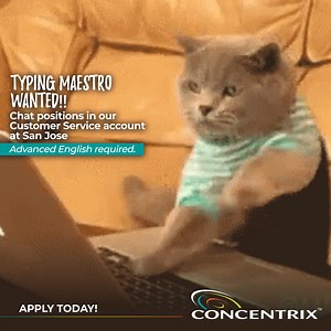 14K views · 50 reactions | We want fast typers for our Customer...