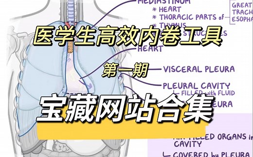 医学生高效内卷必须知道的9个网站（上）涵盖基础、临床、医药、影像