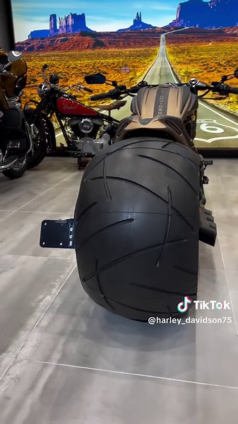 Custom Harley Davidson V-Rod Showcase