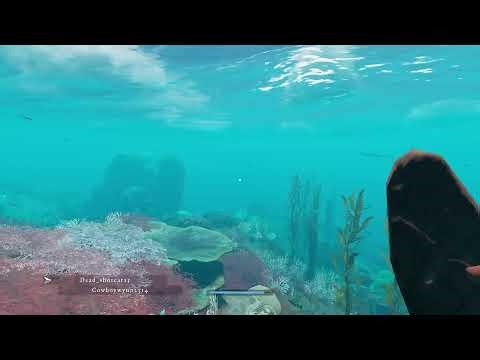 Stranded deep-part 2-stream