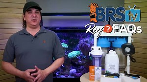 3.4K views · 45 reactions | Fighting low reef tank pH? Here's the Top 5 ways to raise the pH in your saltwater tank, along with why you would want higher saltwater aquarium pH to begin with. | Bulkreefsupply.com - Saltwater Aquarium Supplies | Facebook