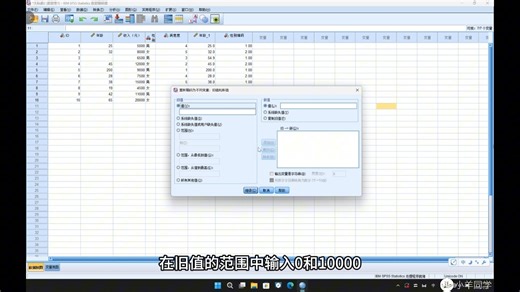 02SPSS数据清洗之数值数据分组编码