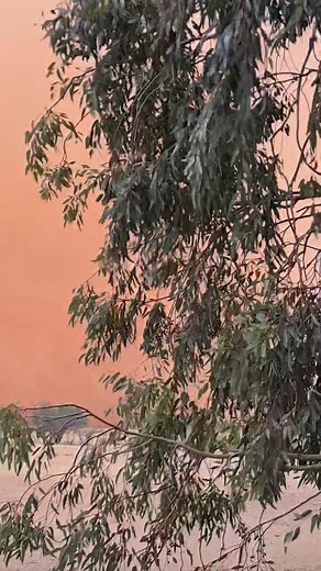 116K views · 1.6K reactions | We appear to have a micro burst of wind from what appears to be a dry thundrstorm so far here at Eldee Station. | Eldee Station | Facebook