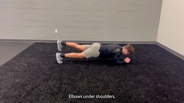 Plank with Leg Lift (Exercise Library)