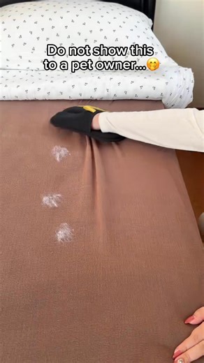 🐾 Fur-free home in seconds! The PurePath™ Hair Remover Glove is the easiest way to clean pet hair off couches, carpets, and clothes. Swipe, lift, and go—no mess, no fuss! 🧤 | PurePath