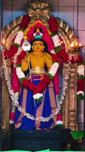 முருகனின் அற்புதமான வெவ்வேறு அலங்காரங்கள் | Murugan Alangaram Darshan