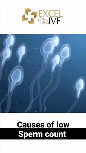 Causes of low sperm count | Dr Rhythm Gupta - Infertility and IVF Specialist at Excel IVF